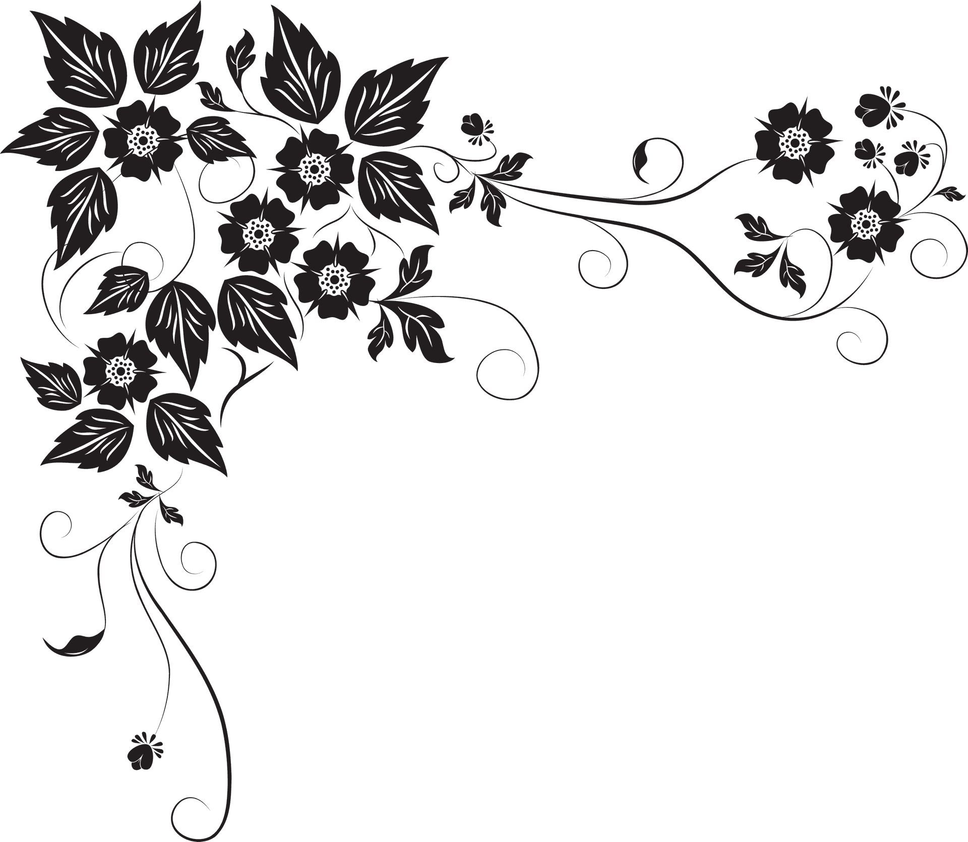 Elegant Floral Design Border PNG image