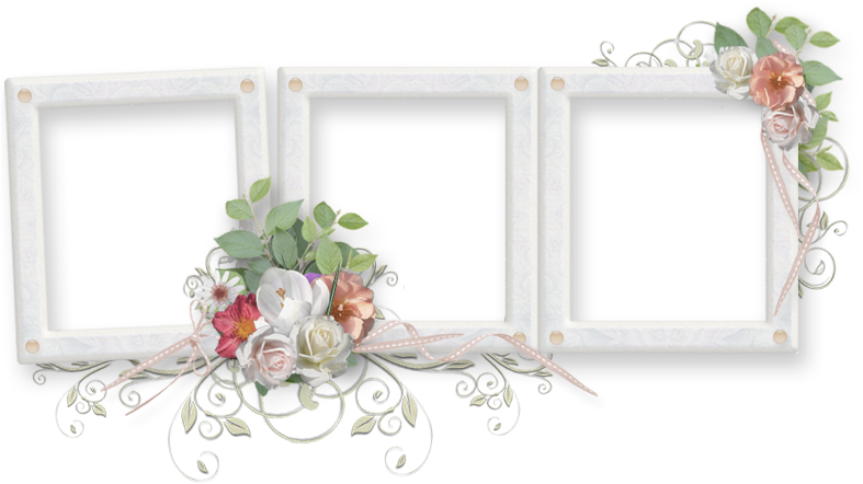 Elegant Floral Quadruple Photo Frame PNG image