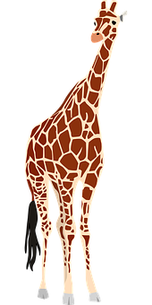 Elegant Giraffe Standing Vector PNG image