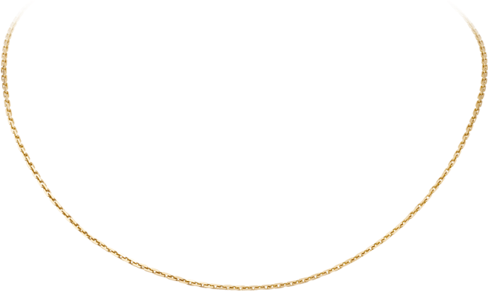 Elegant Gold Chain Necklace PNG image