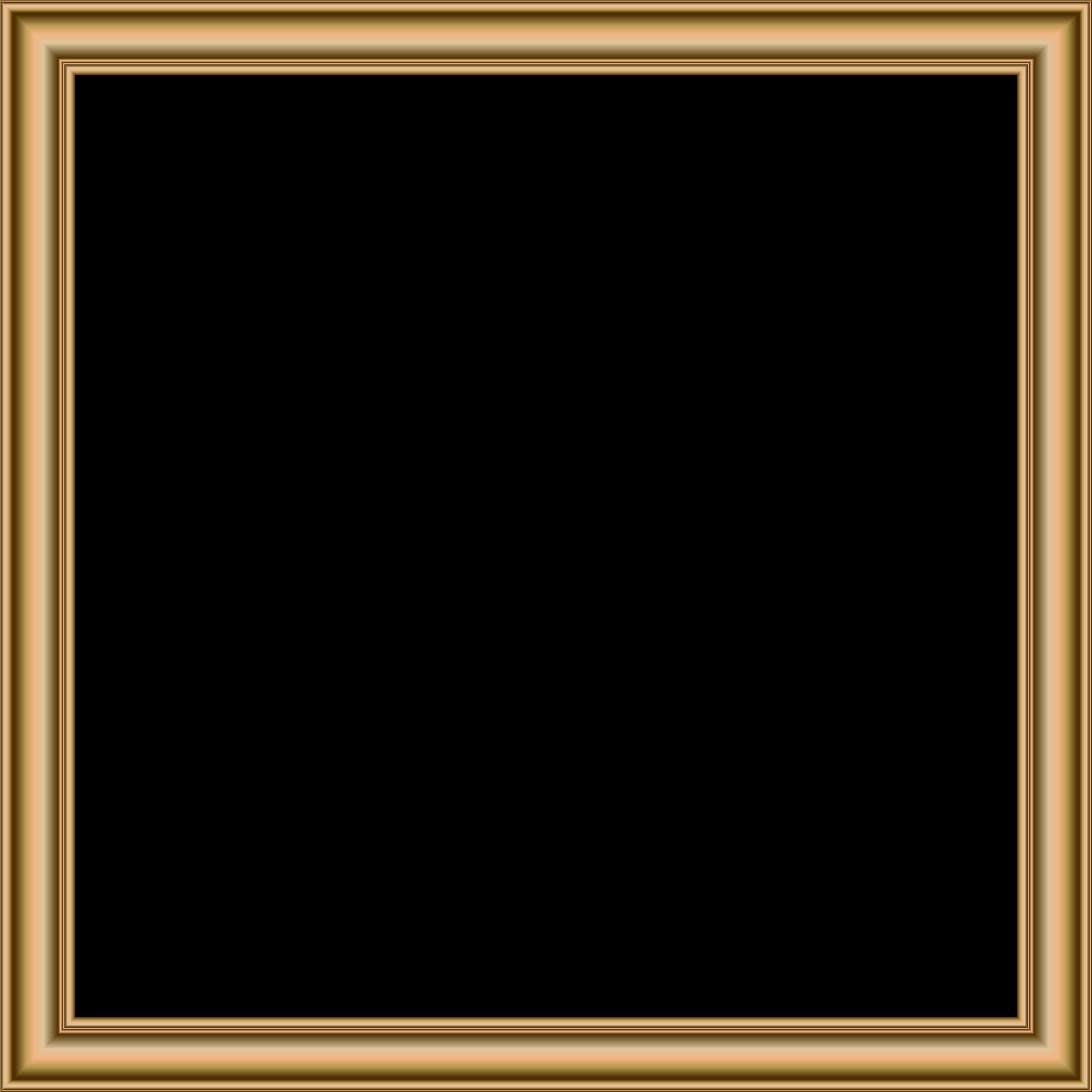 Elegant Golden Border Frame PNG image