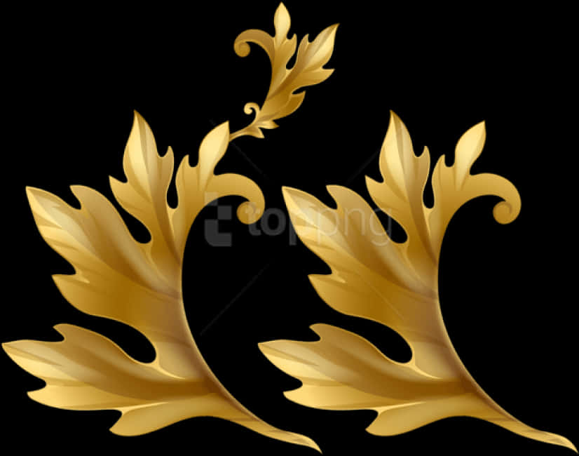Elegant Golden Floral Design PNG image