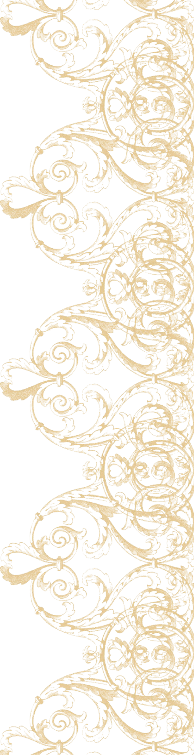 Elegant_ Golden_ Scrollwork_ Border PNG image