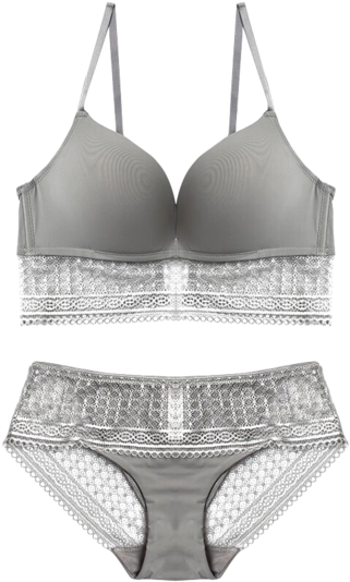 Elegant Grey Lace Lingerie Set PNG image