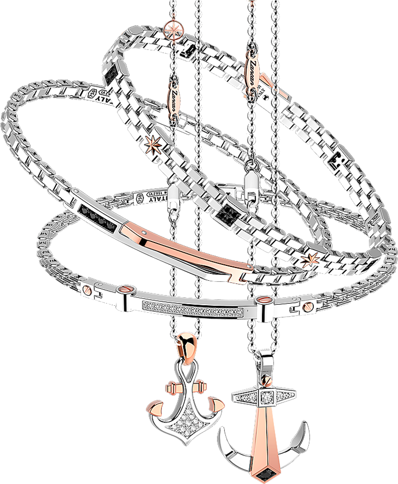 Elegant Jewelry Collection Display PNG image