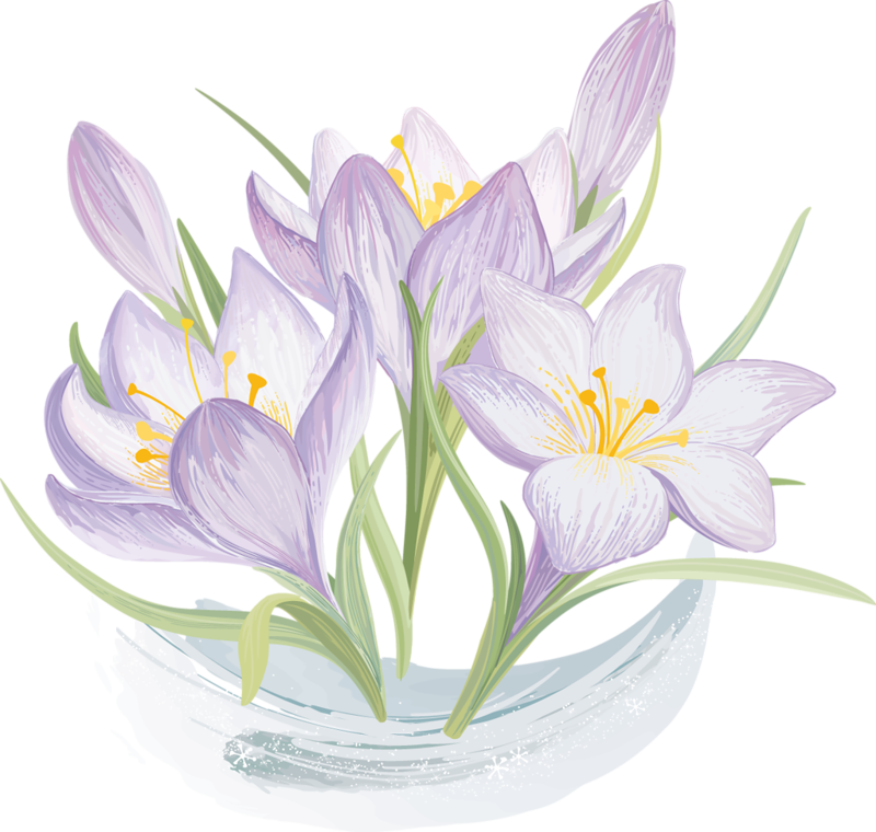 Elegant Lavender Floral Vector PNG image