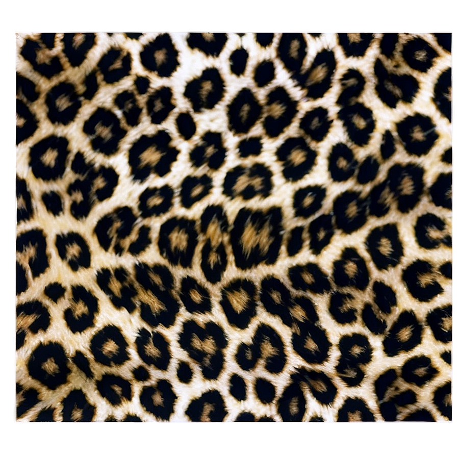 Elegant Leopard Print Png Sgl68 PNG image