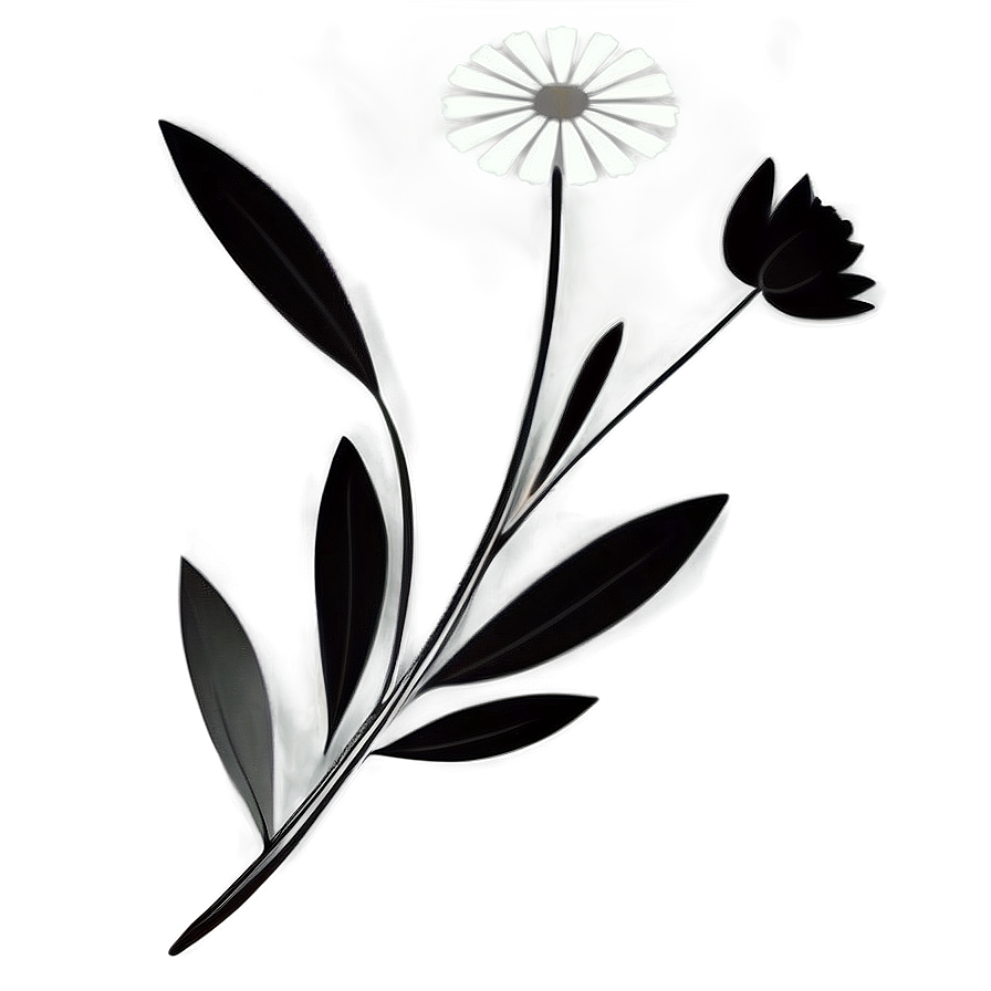 Elegant Monochrome Flowers Png 06282024 PNG image