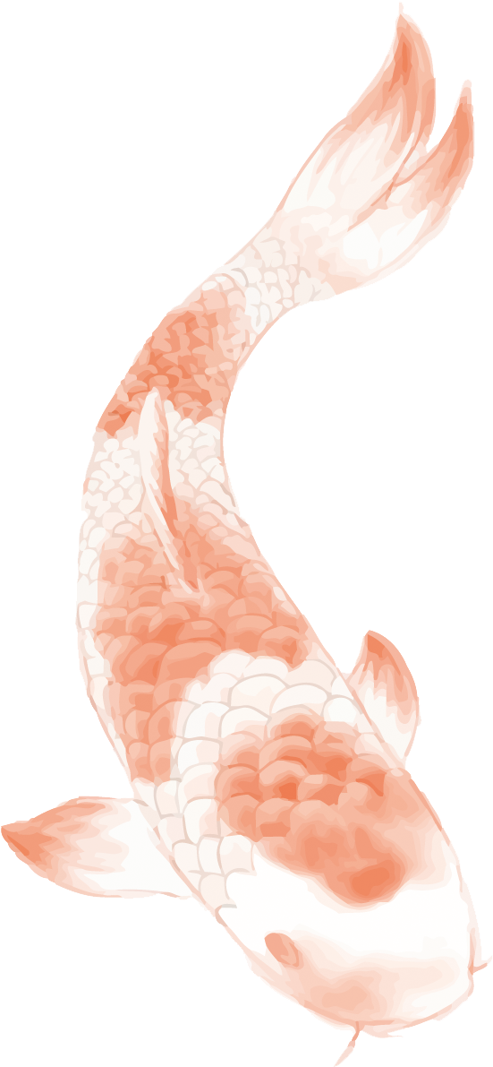 Elegant Orange Koi Fish PNG image