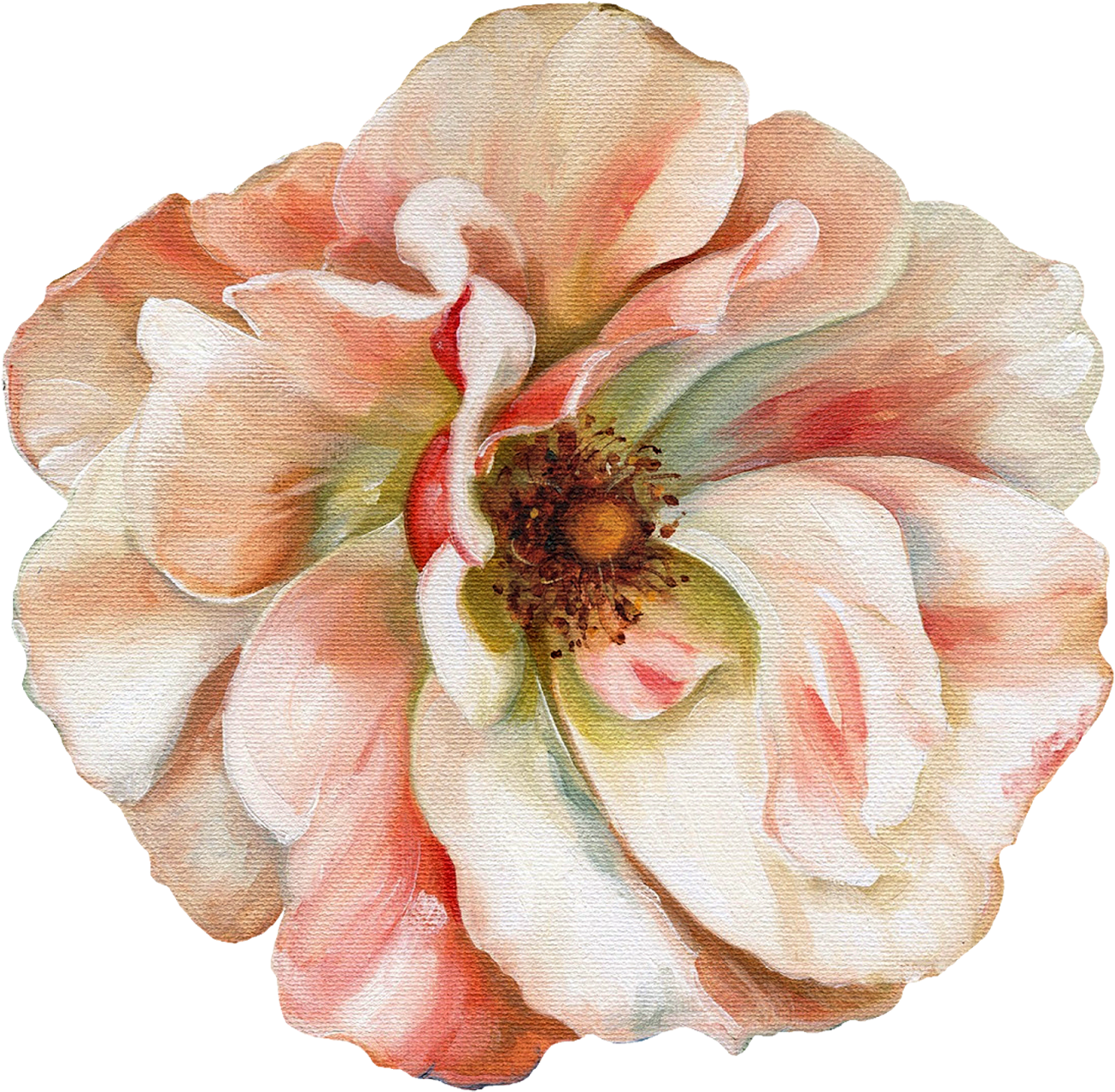 Elegant Painted Magnolia PNG image