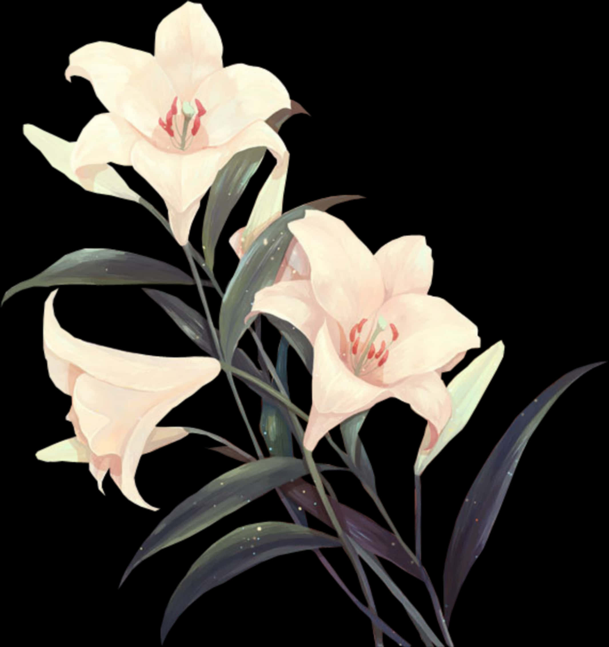 Elegant_ Pale_ Lilies_ Artwork PNG image