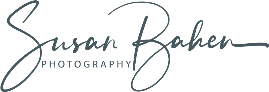 Elegant Photography Logo Susan Baken PNG image