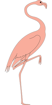 Elegant Pink Flamingo Graphic PNG image