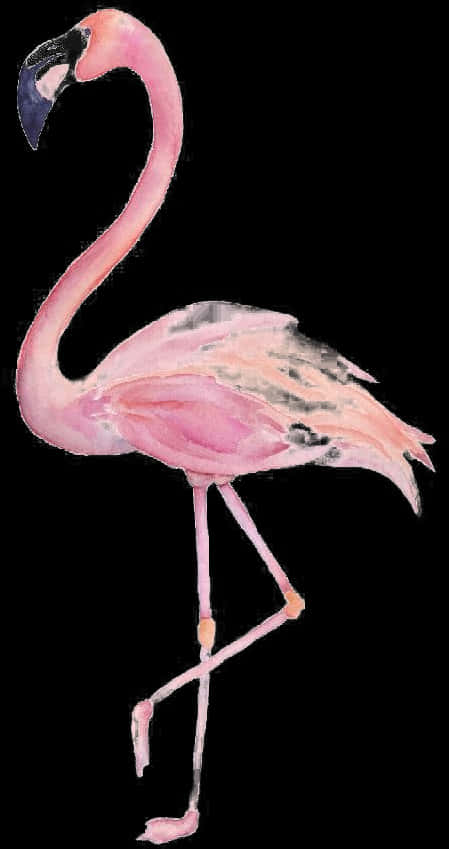 Elegant Pink Flamingo Standing PNG image