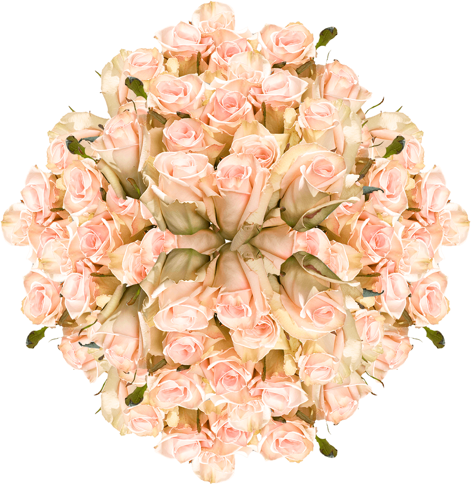 Elegant Pink Roses Bouquet PNG image