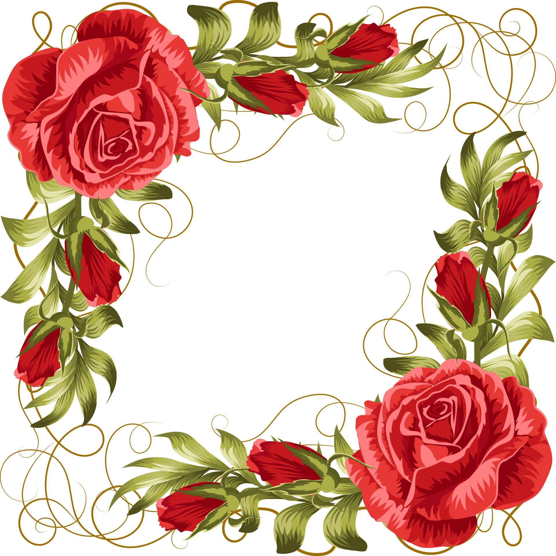 Elegant Red Rose Floral Frame PNG image