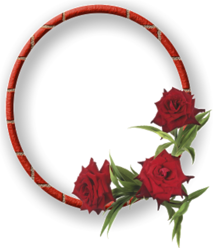 Elegant Red Rose Frame PNG image