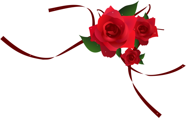 Elegant Red Roses Transparent Background PNG image