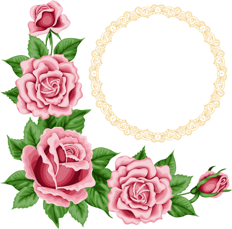 Elegant Rose Corner Border Design PNG image