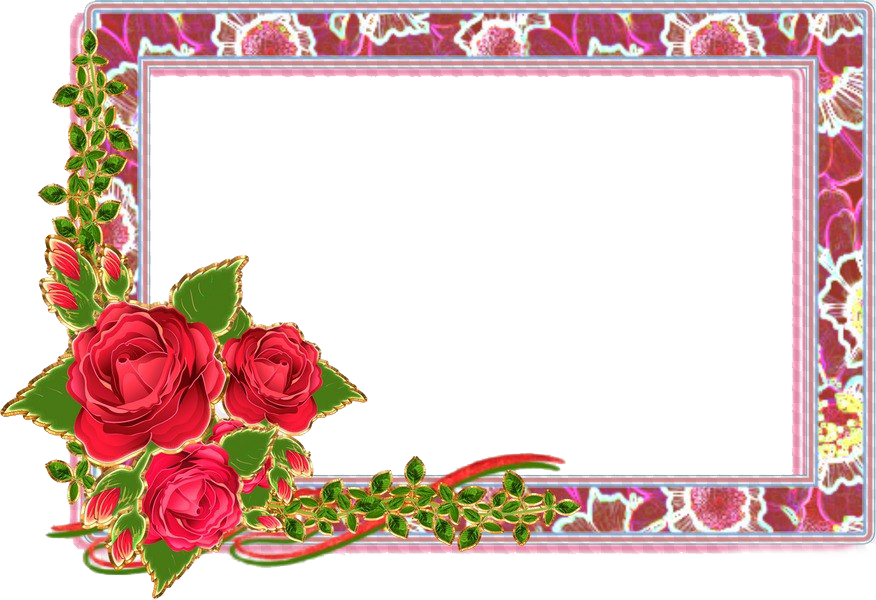 Elegant Rose Decorated Frame PNG image