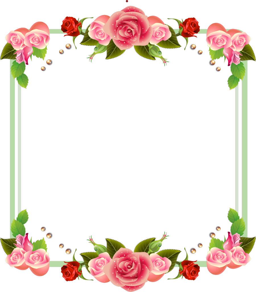 Elegant Rose Frame Design PNG image