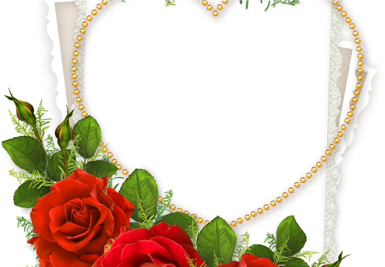 Elegant Rose Frame Design PNG image