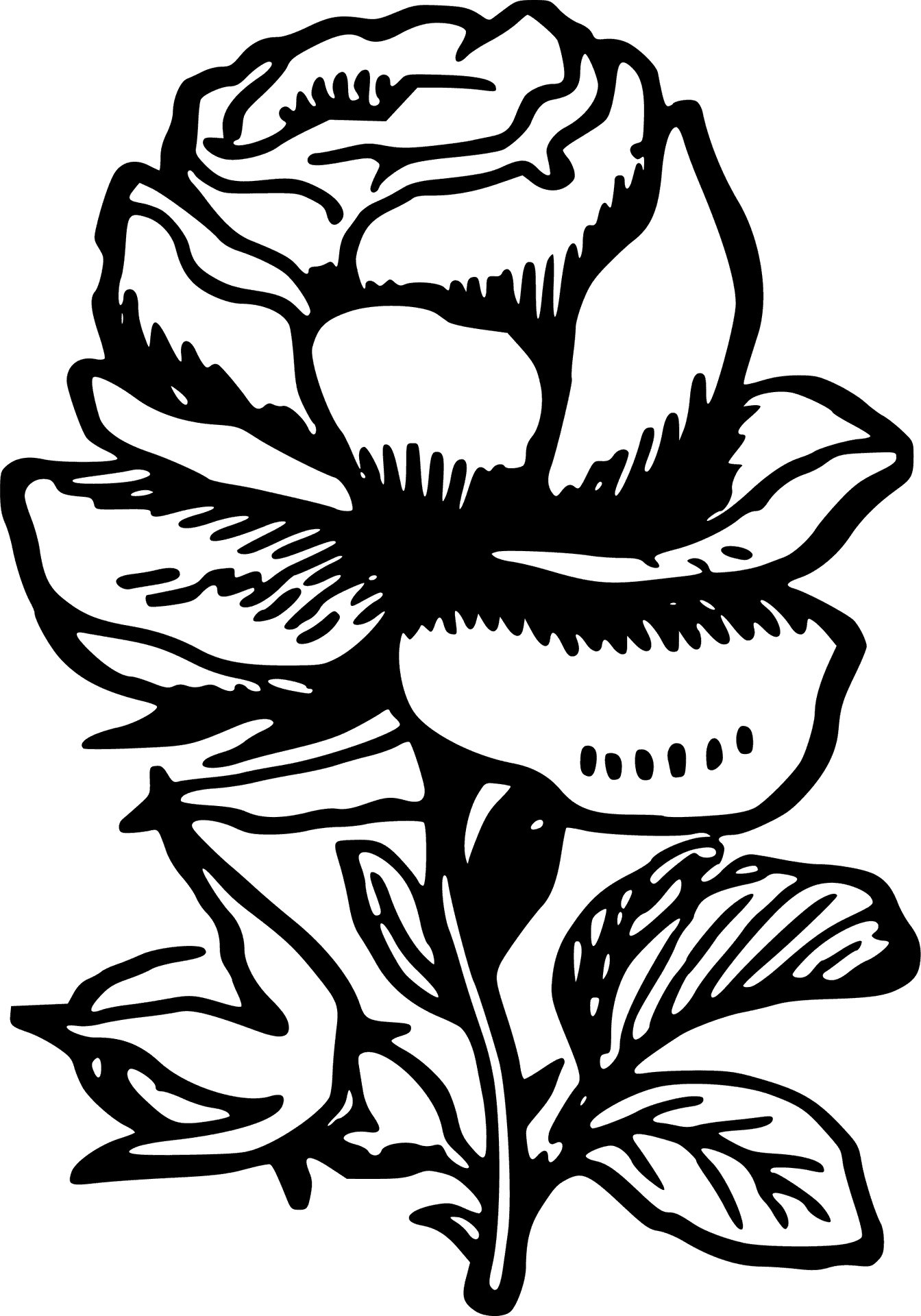 Elegant Rose Line Art Drawing PNG image