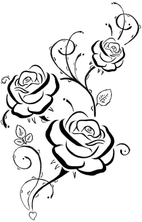 Elegant Rose Line Art PNG image