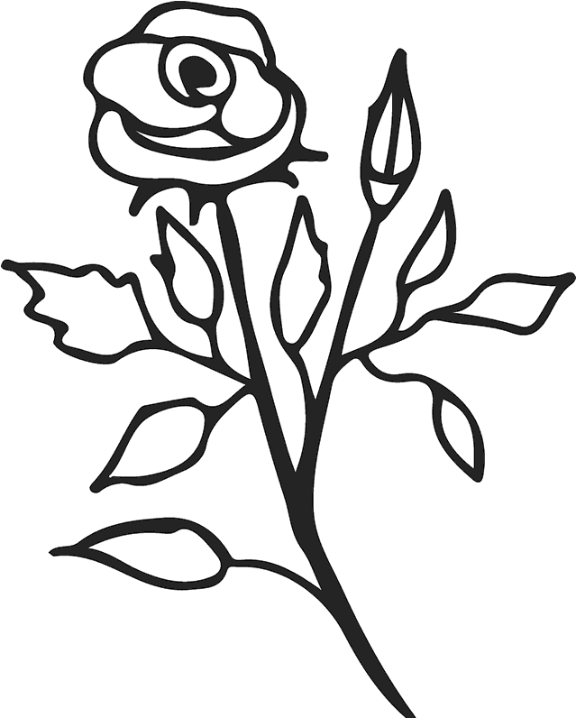 Elegant Rose Outline PNG image