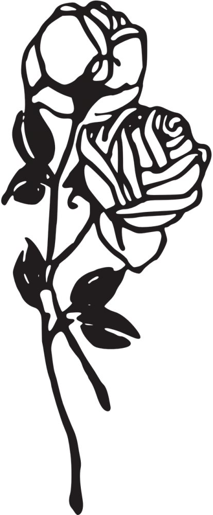 Elegant Rose Vector Silhouette PNG image