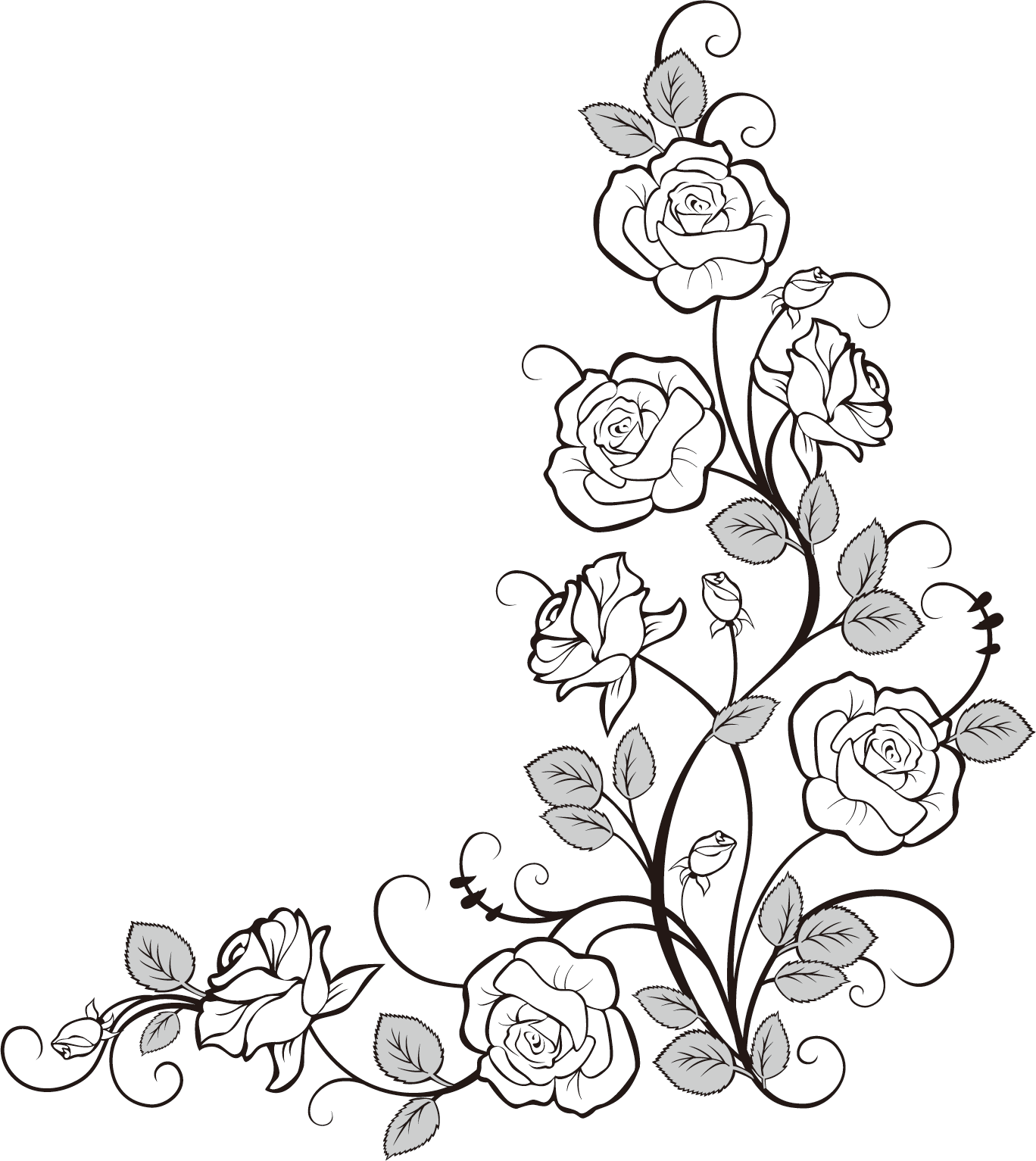 Elegant Rose Vine Drawing PNG image