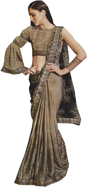 Elegant Saree Model Pose PNG image