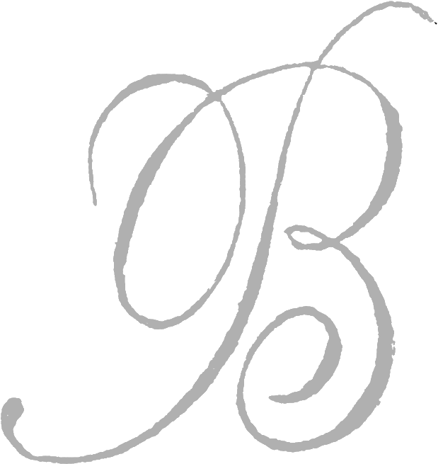 Elegant Script Letter B PNG image