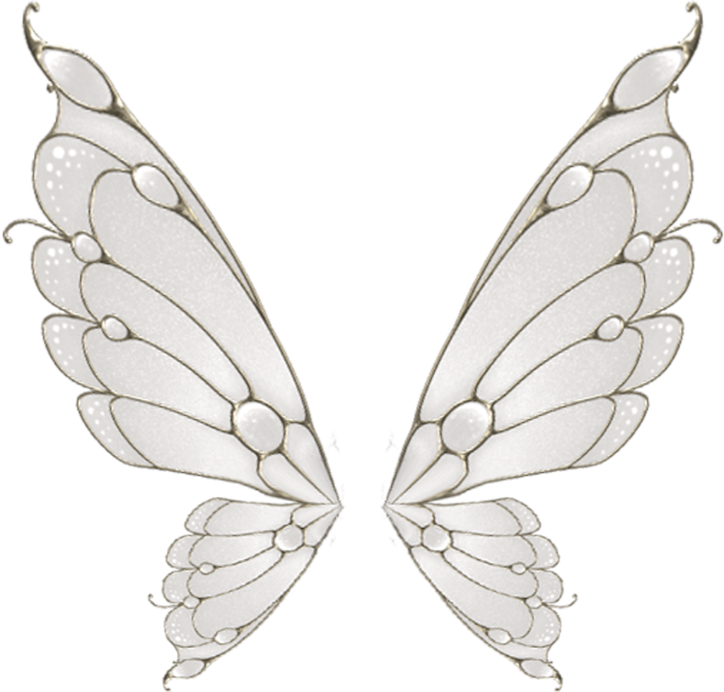 Elegant Silver Fairy Wings PNG image