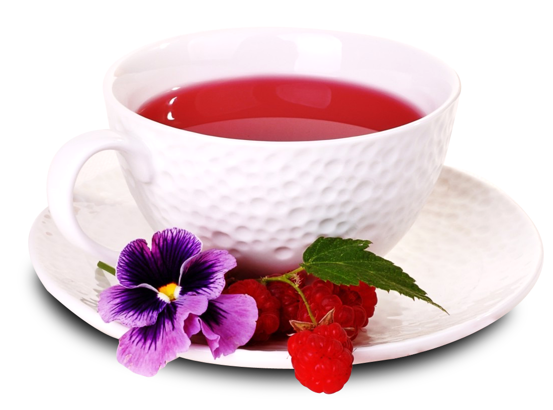 Elegant Tea Cup With Berries And Flower PNG image