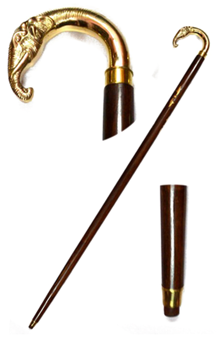 Elegant Walking Stickwith Golden Handle PNG image