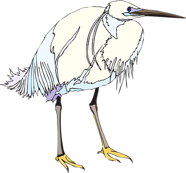 Elegant White Egret Illustration PNG image