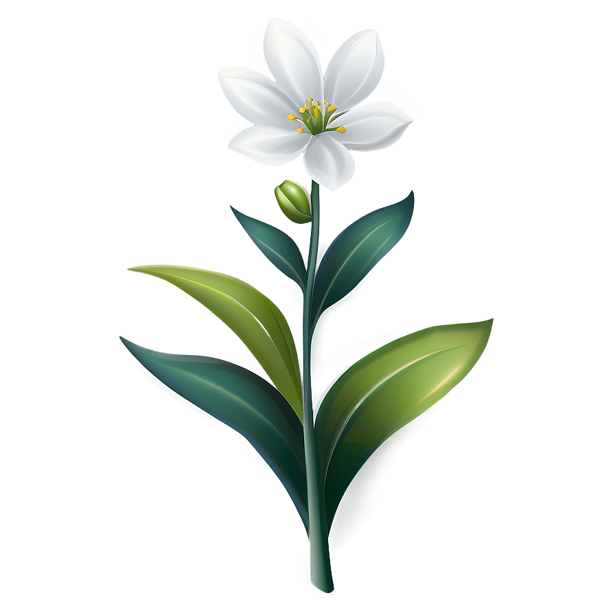 Elegant White Flower Png 54 PNG image