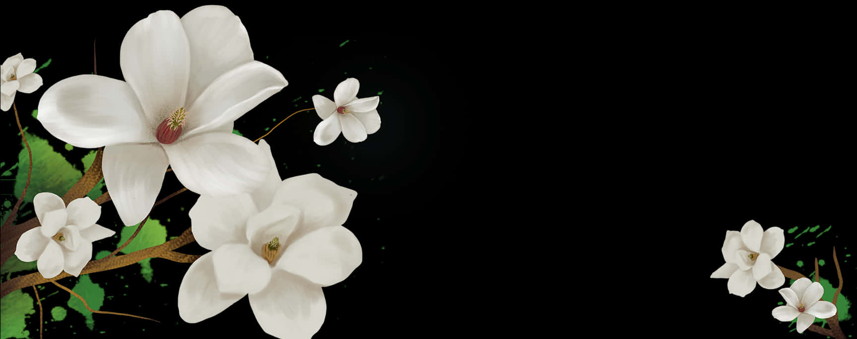 Elegant White Flowers Black Background PNG image