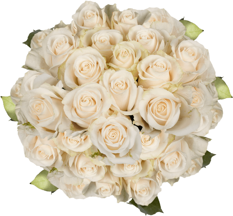 Elegant White Roses Bouquet PNG image