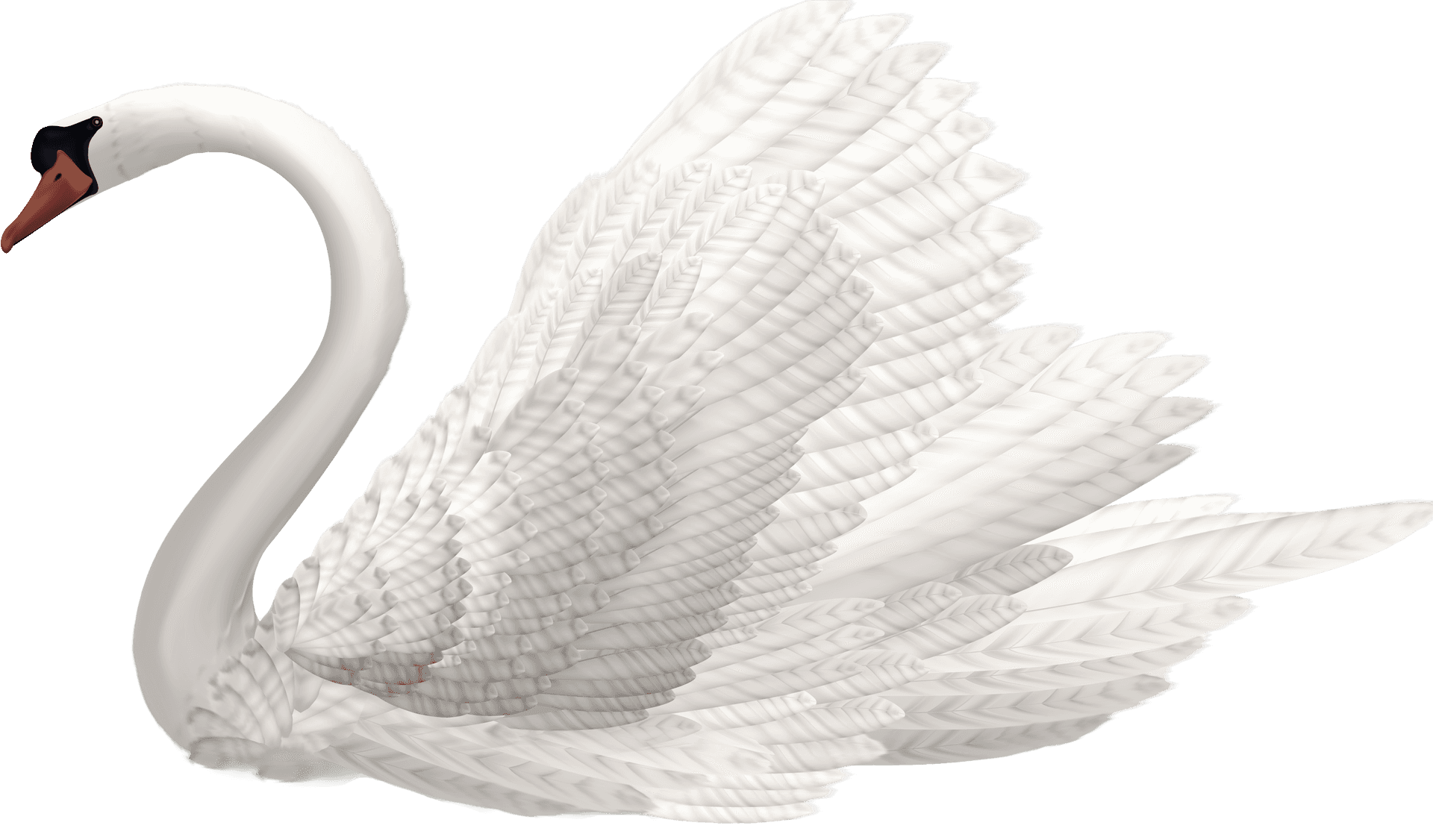 Elegant White Swan PNG image