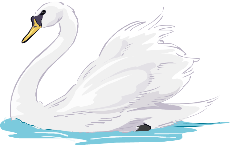 Elegant White Swan Illustration PNG image