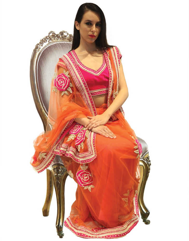 Elegant Womanin Orange Saree PNG image