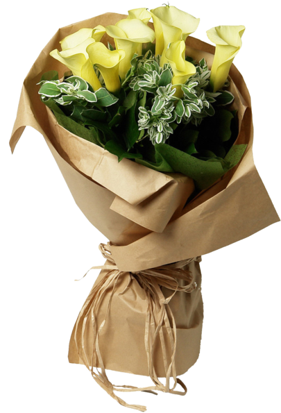 Elegant Yellow Calla Lilies Bouquet PNG image