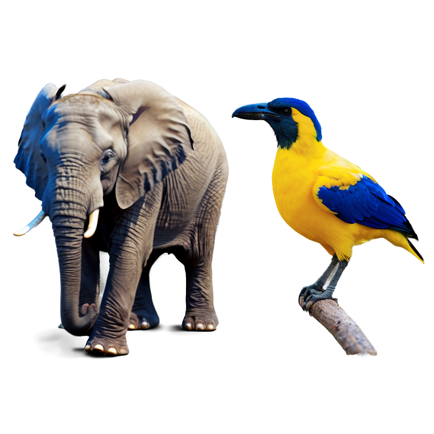 Elephant And Bird Friendship Png Dim73 PNG image