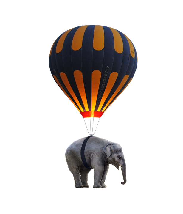 Elephant Hot Air Balloon Hybrid PNG image