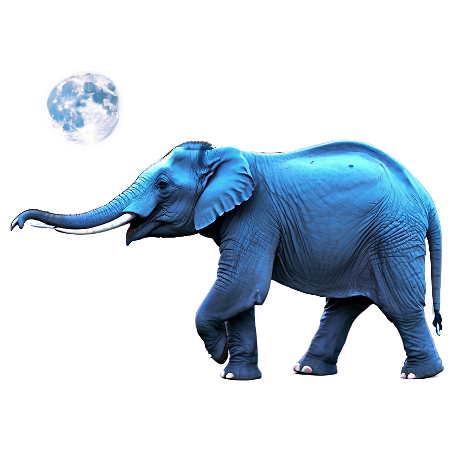 Elephant In Full Moon Night Png 38 PNG image