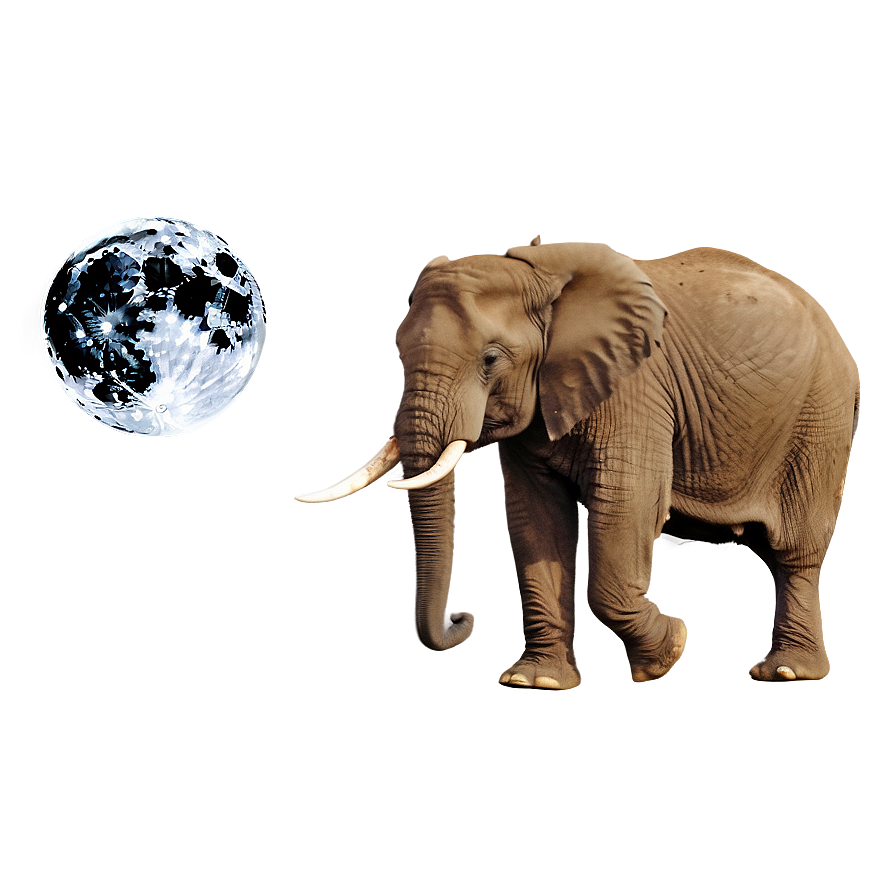 Elephant In Full Moon Night Png Fus PNG image