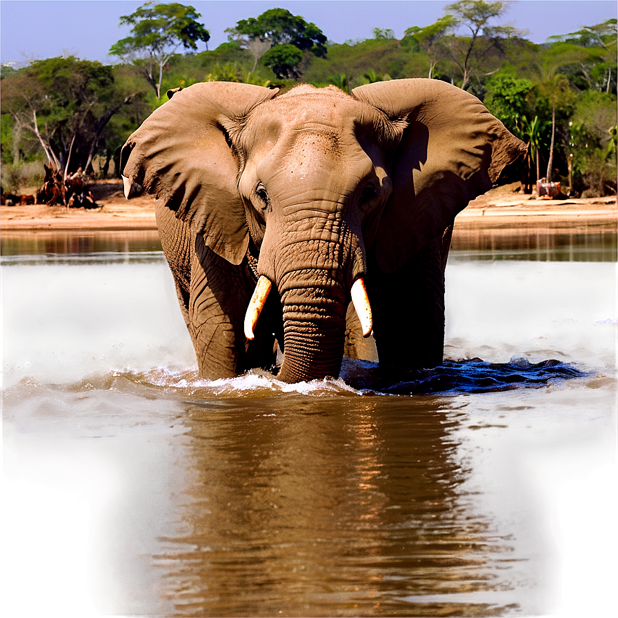 Elephant In River Crossing Png Alo31 PNG image