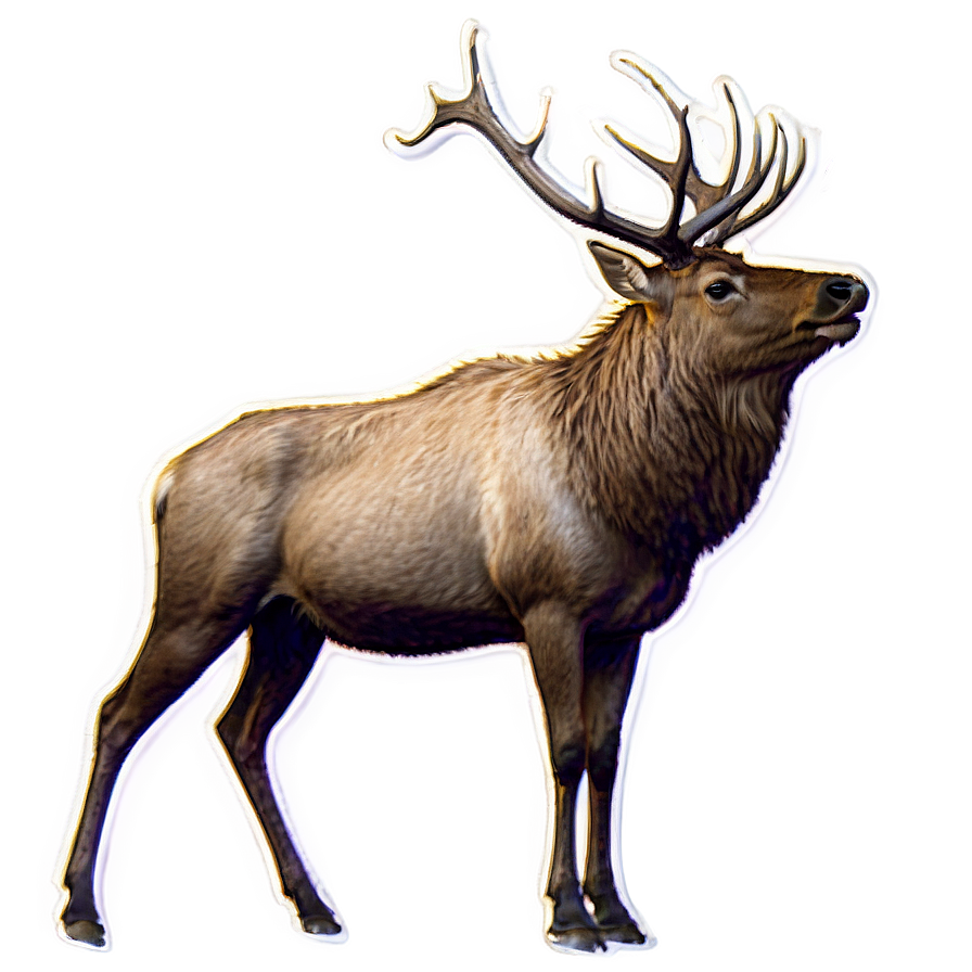 Elk Habitat Png Mlq PNG image